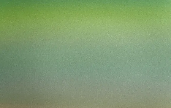 קזינו סונס אוף סלוטס תמיכה